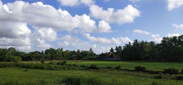 Scenic view of field against sky