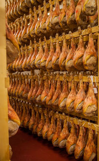 View of bread in store