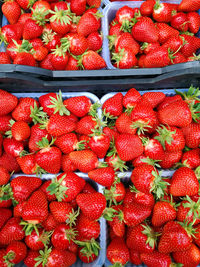 High angle view of strawberries in market