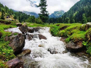 Scenic view of stream flowing in forest against sky