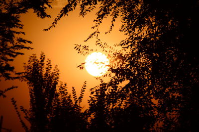 Low angle view of silhouette trees against sky during sunset