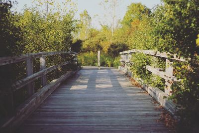 Footbridge amidst trees against sky