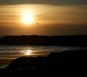 Silhouette bird flying over sea against sky during sunset