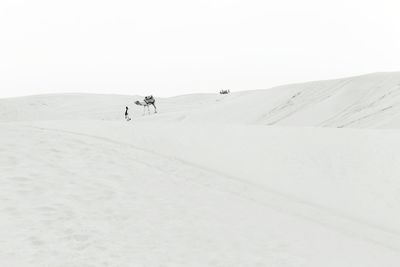 People on snow covered land