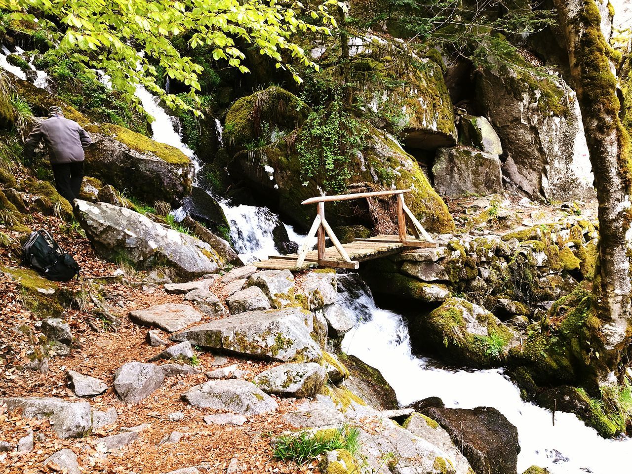 water, tree, rock - object, nature, green color, tranquility, rock, plant, growth, rock formation, beauty in nature, moss, river, day, built structure, scenics, high angle view, tranquil scene, outdoors, no people