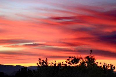 Silhouette trees against dramatic sky during sunset