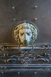 Close-up of lion door knocker