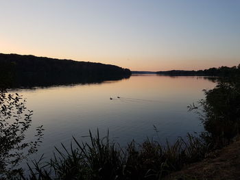 Silhouette of birds flying over lake