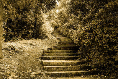 Staircase leading towards footpath
