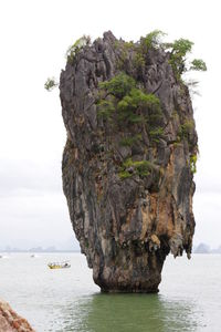 Close-up of tree by sea against sky