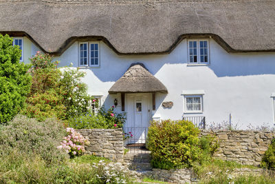 Houses and plants on a wall of building