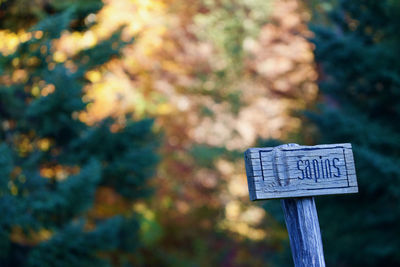 Close-up of information sign against trees