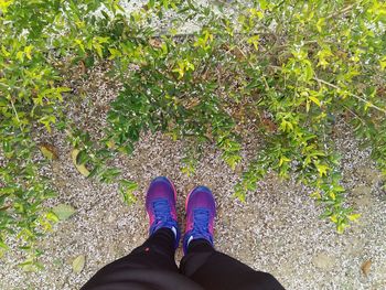 Low section of woman standing on ground