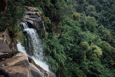 Scenic view of waterfall in forest