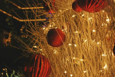 Close-up of christmas lights