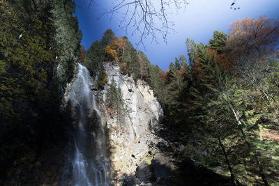 Scenic view of waterfall in forest against sky