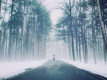 People standing on road in forest