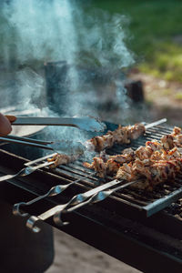 Shish kebab made from marinated chicken and cooked on barbecue grill over charcoal. 
