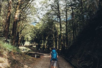 Rear view of man walking in forest