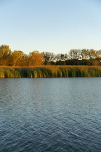 Scenic view of lake against clear sky