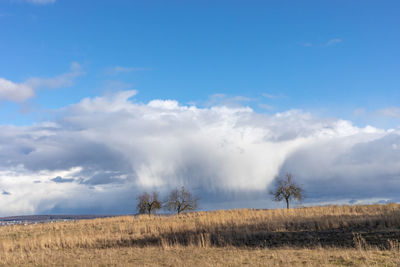 Scenic view of field against sky