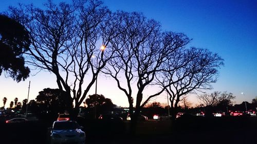 Silhouette of bare trees against sky at dusk
