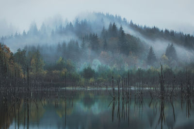 Cuejdel natural lake in the autumn season.