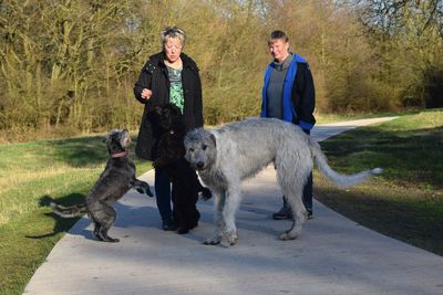 Full length of a dog