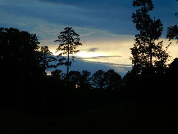 Silhouette of trees against sky at sunset