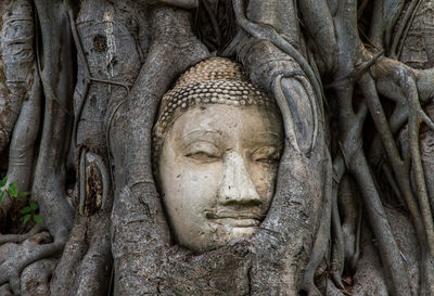 Close-up of statue