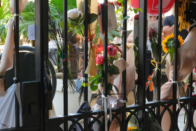 Close-up of potted plants in store for sale