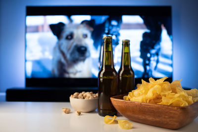 Close-up of dog sitting at home