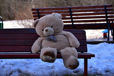 Close-up of stuffed toy on snow covered bench