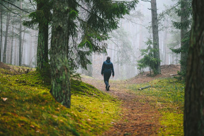 Rear view of woman walking in forest