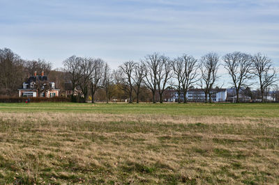 Bare trees on field against sky