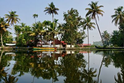 Reflection of trees in lake against sky and palm trees 