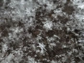 Full frame shot of snowflakes