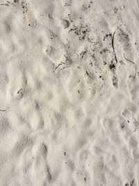 High angle view of footprints on sand