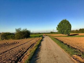 Scenic view of agricultural field against clear blue sky