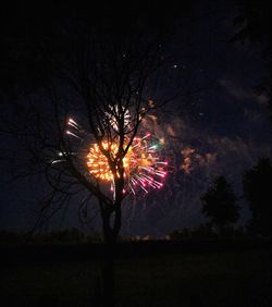 Low angle view of firework display at night