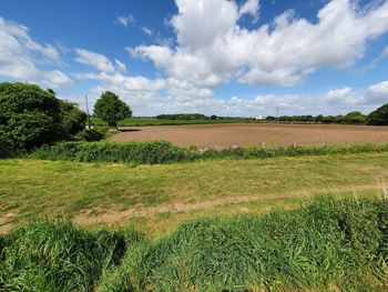 Scenic view of agricultural field against sky