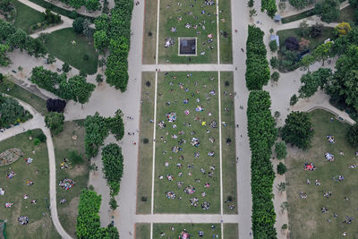 High angle view of plants by building