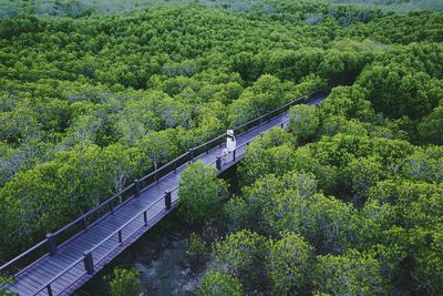 High angle view of woman sitting on railing of footbridge at forest