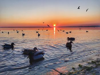 Scenic view of sea against sky during sunset