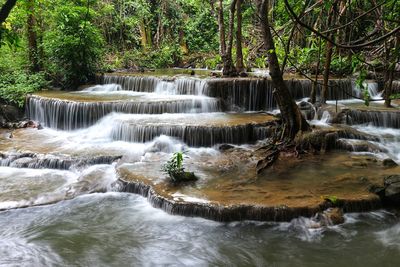 Scenic view of waterfall in forest