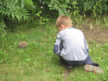 Rear view of boy looking at hedgehog while crouching on field