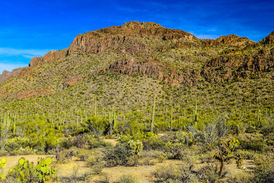 View of rock formations in desert