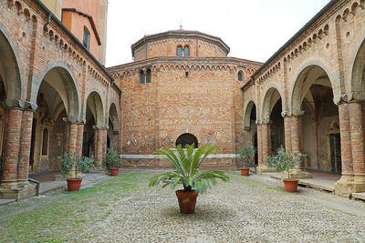 Potted plants outside historic building against sky