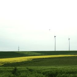 Wind turbines on grassy field