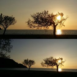 Silhouette trees by sea against sky during sunset